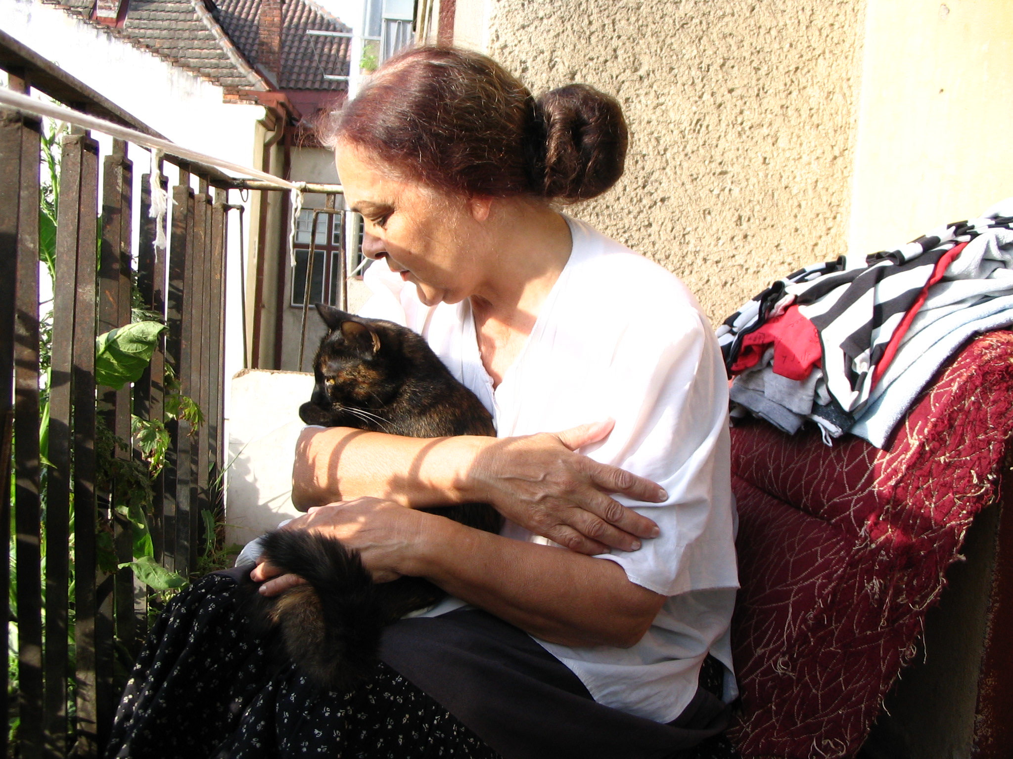 Lola și pisica Tomi