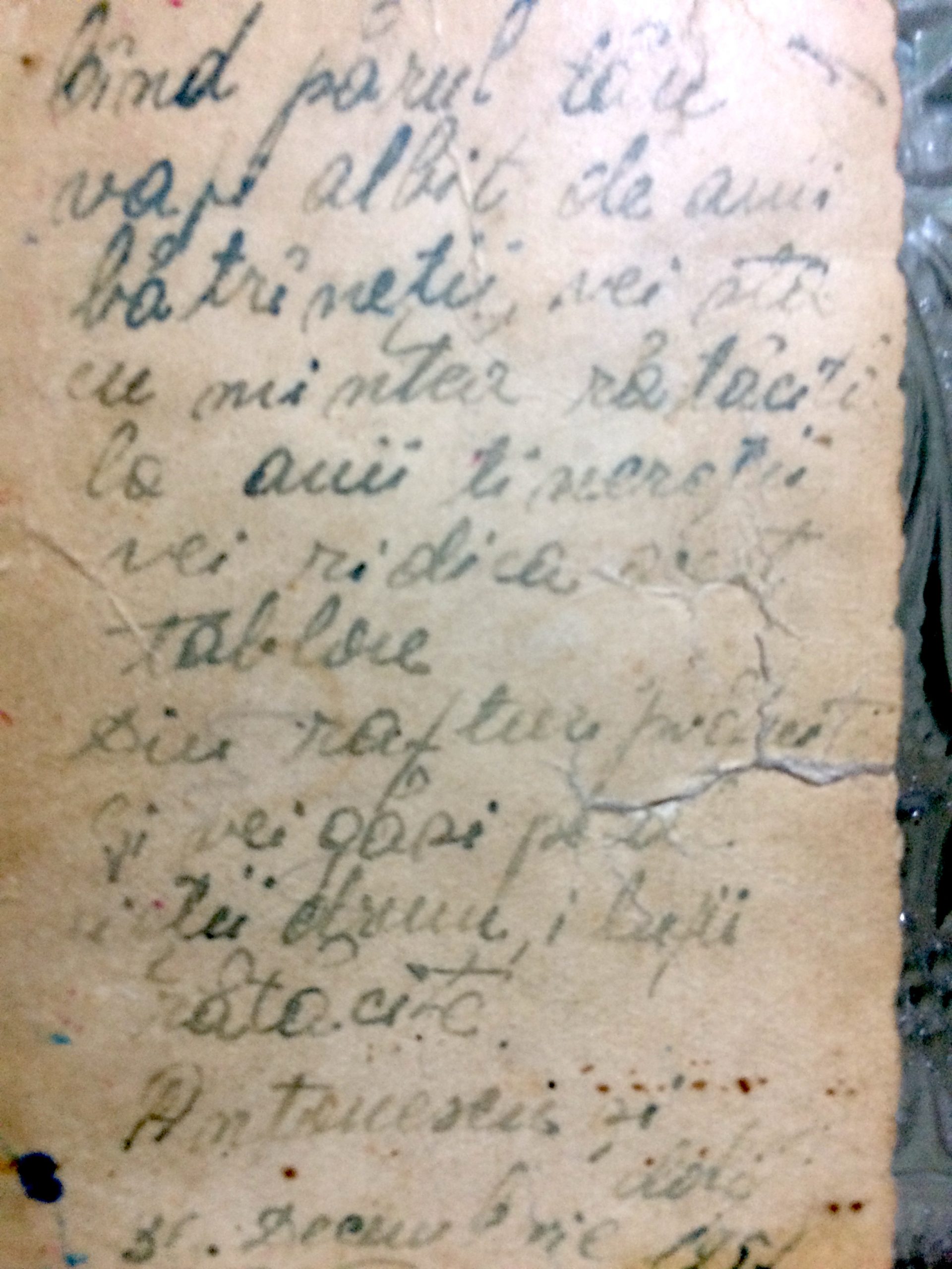 Verso “Când părul tău va fi albit de anii bătrîneții, vei sta cu mintea rătăcită la anii tinereții, veri ridica acest tablou din rafturi prăfuite, și vei găsi pe-al vieții drum indescifrabil rătăcite. Antonescu și Loli. 30 Decembrie 1957“